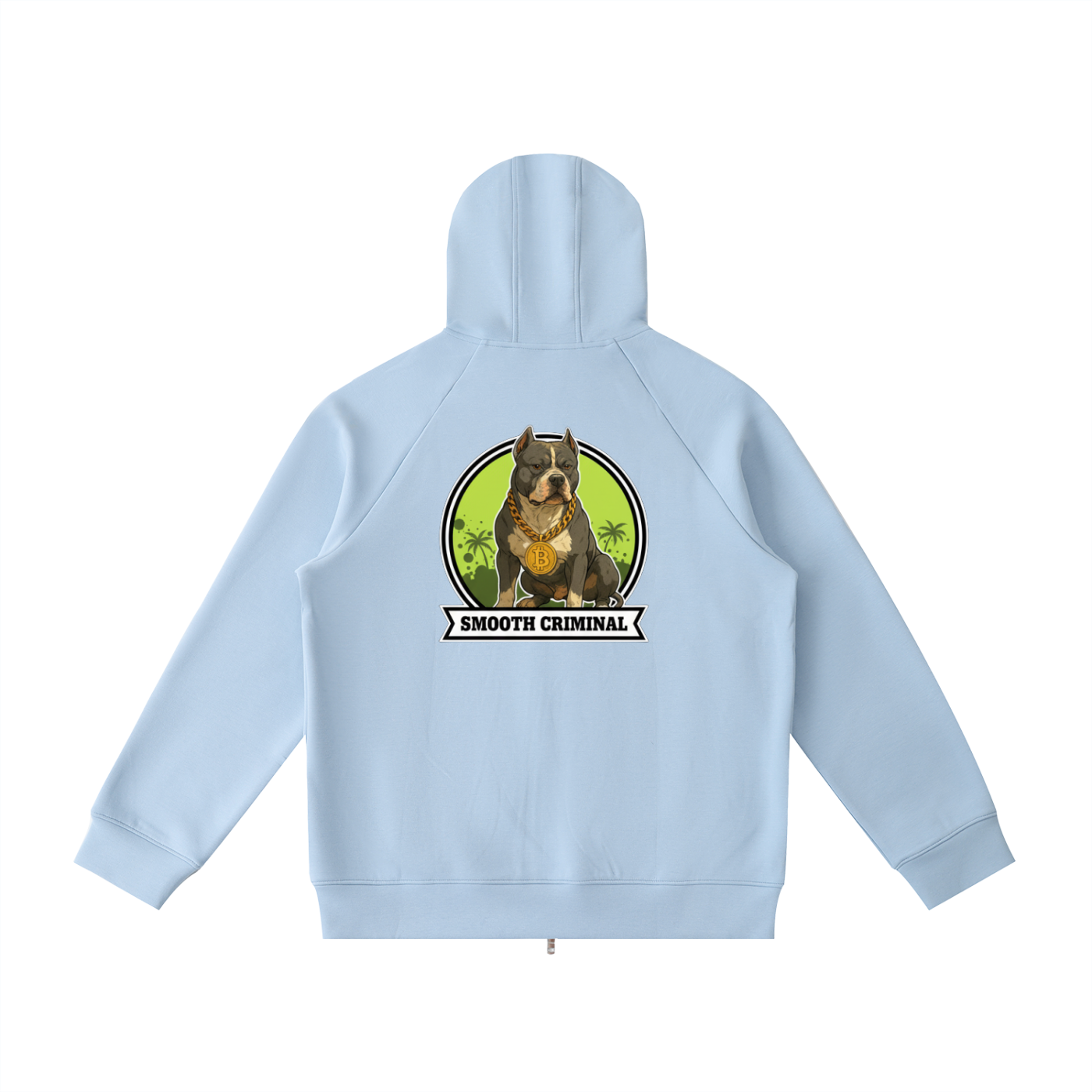 Heavyweight Raglan Sleeve Zip Hoodie