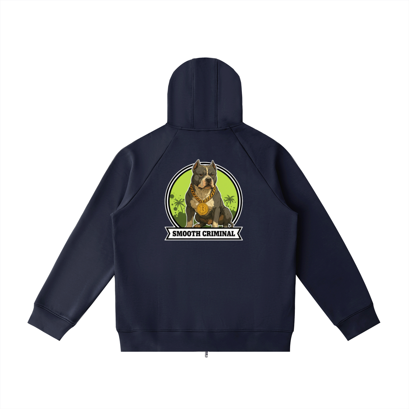 Heavyweight Raglan Sleeve Zip Hoodie