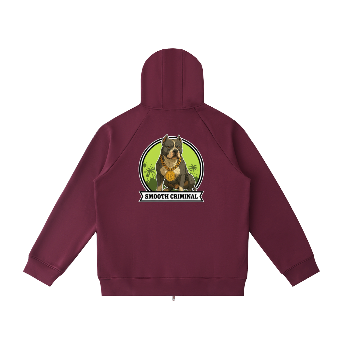 Heavyweight Raglan Sleeve Zip Hoodie