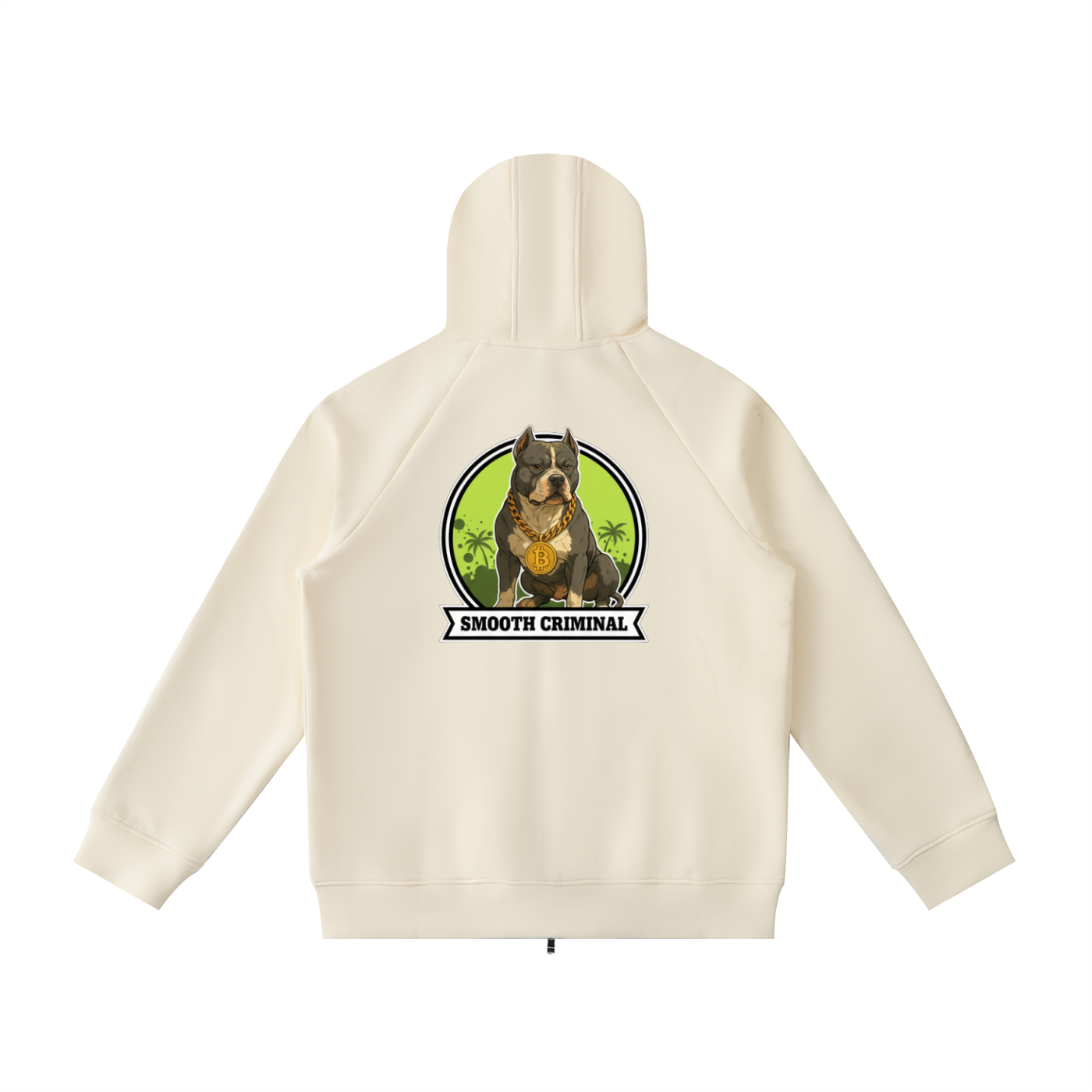 Heavyweight Raglan Sleeve Zip Hoodie