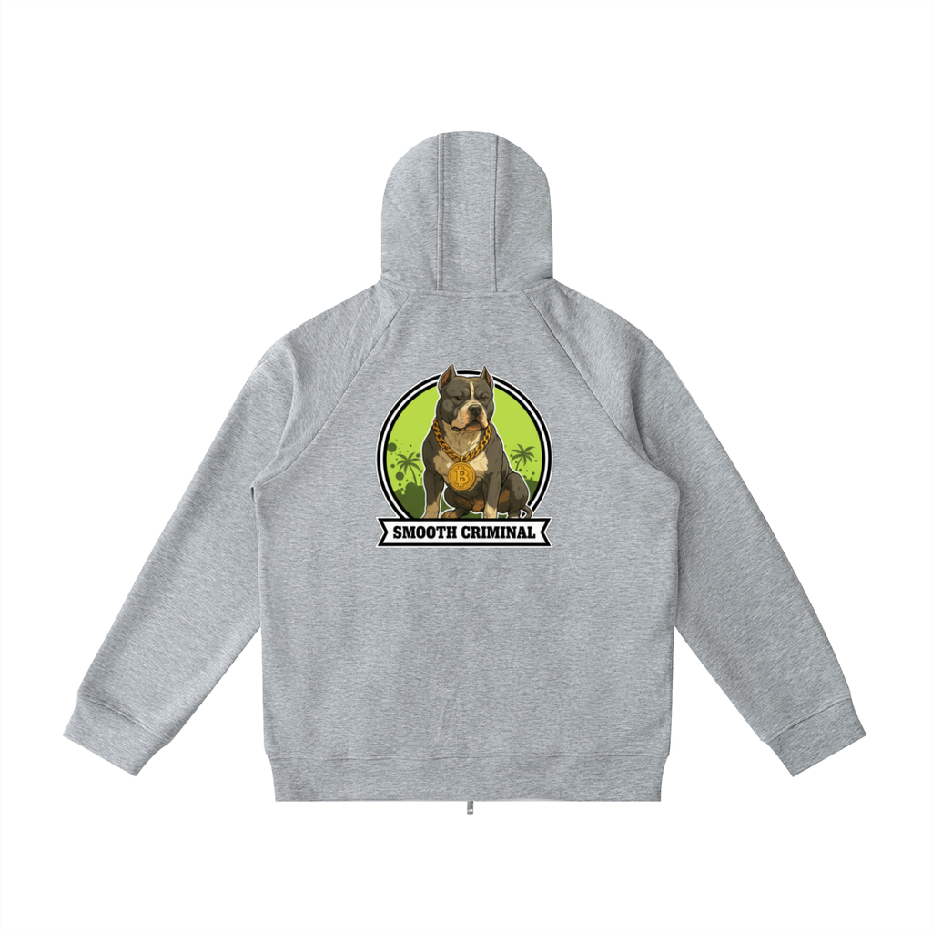 Heavyweight Raglan Sleeve Zip Hoodie