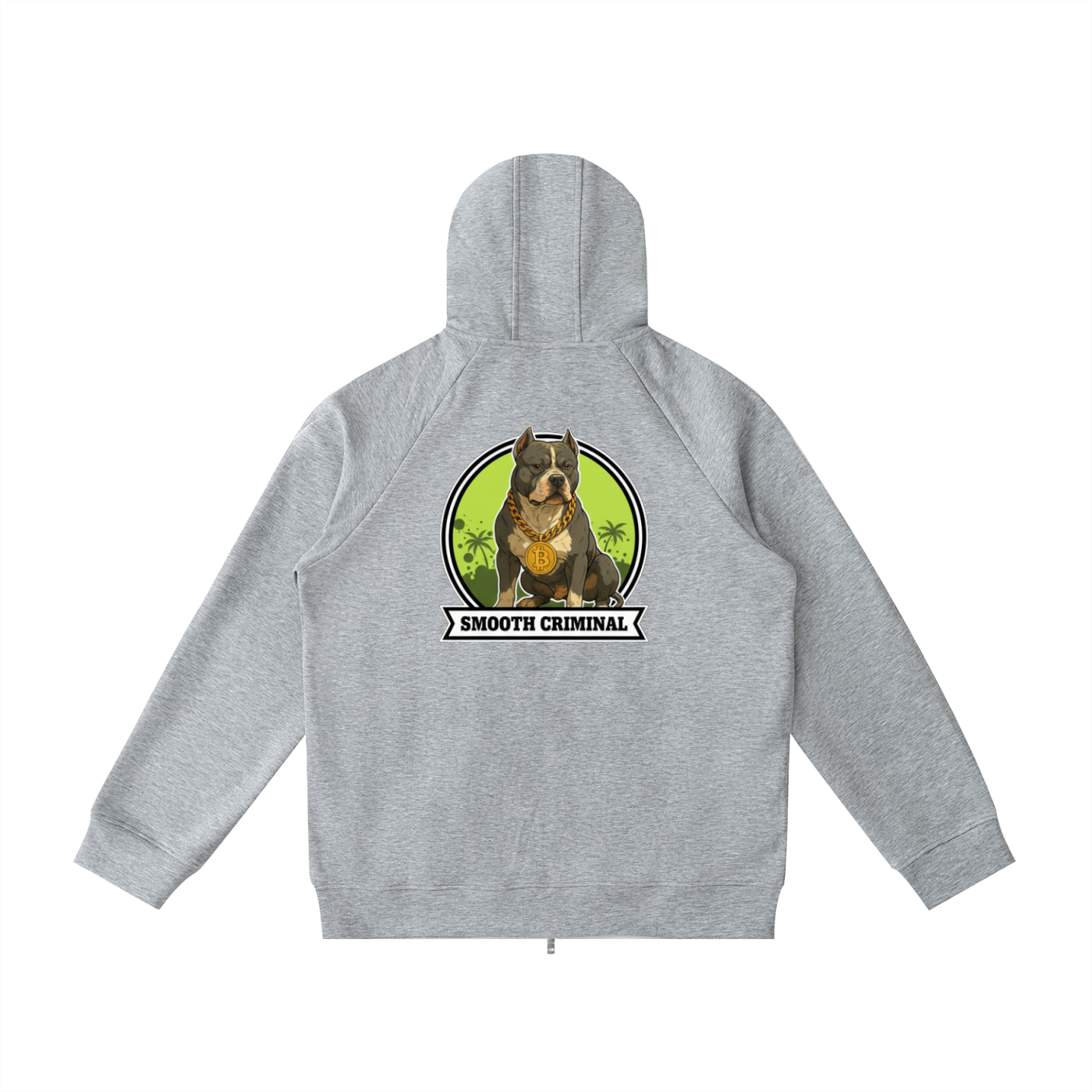 Heavyweight Raglan Sleeve Zip Hoodie