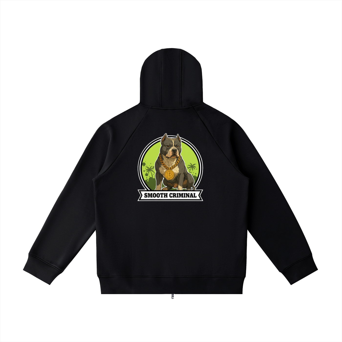 Heavyweight Raglan Sleeve Zip Hoodie